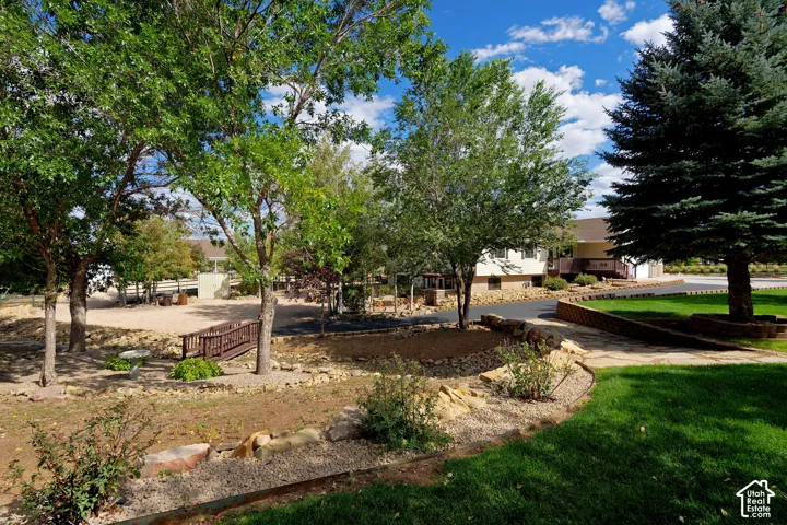 Expansive front yard featuring mature trees, a manicured lawn, a stone walkway, and a paved driveway