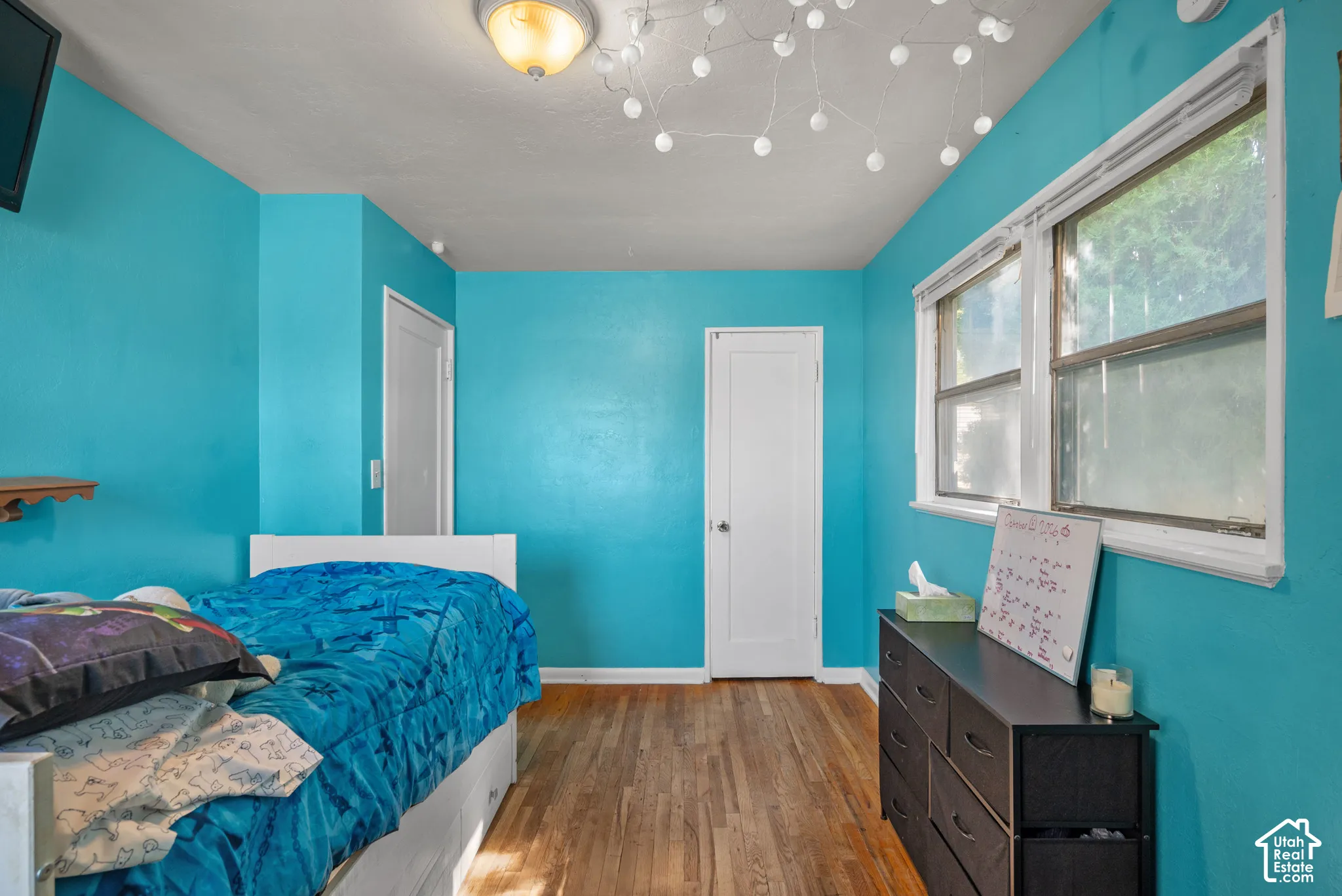 Wood-finish flooring, white trim, white interior doors, and a ceiling-mounted light fixture