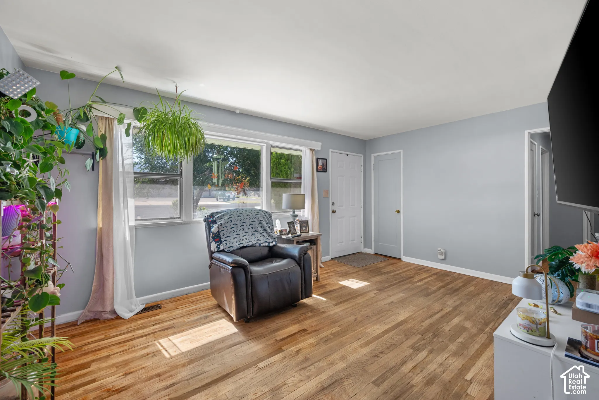 Hardwood flooring, painted walls, white trim, and multiple windows with natural light