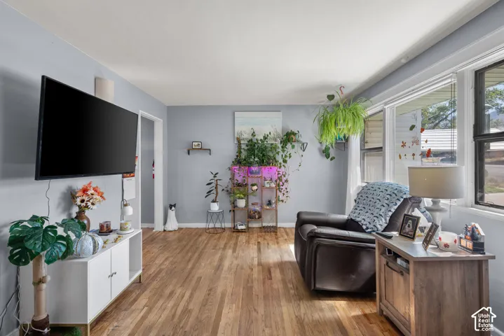 Wood-finish flooring, light grey wall paint, and multiple windows with white blinds