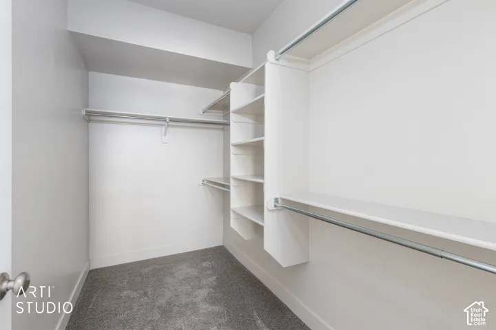 Walk-in closet featuring carpeted flooring and built-in shelving and hanging rods