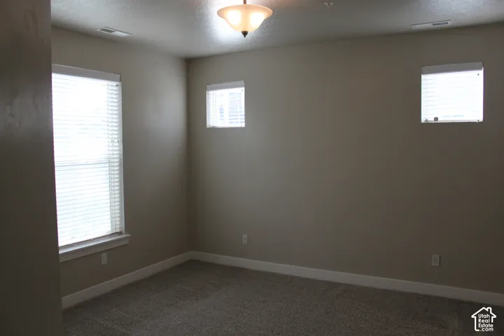 Large primary bedroom featuring multiple windows, a ceiling-mounted light fixture, and neutral wall tones