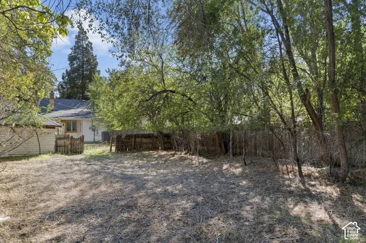Expansive rear yard with mature trees and a privacy fence
