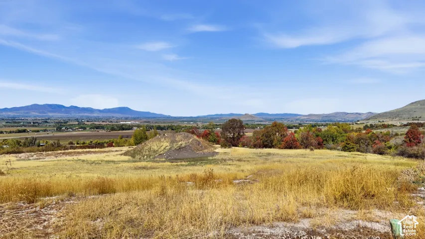 697 Cherry Pkwy, Richmond, Utah 84333