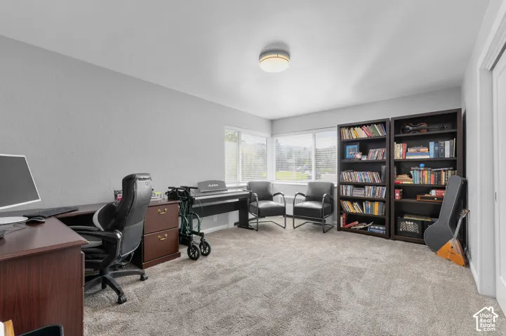 Carpet flooring, multiple windows, built-in shelving, overhead flush mount light fixture