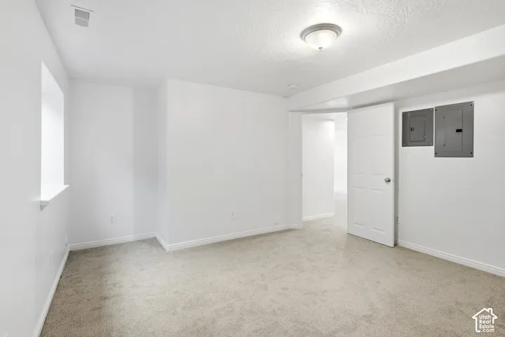 Neutral wall paint, light-toned carpeting, ceiling-mounted light fixture, white trim, and a paneled interior door