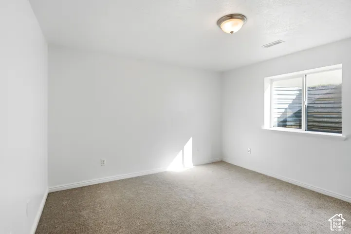 Neutral wall paint, window with casing, ceiling-mounted light fixture, and carpeted flooring