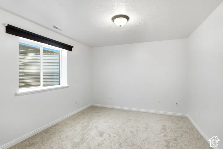 Light-colored carpet flooring, white painted walls, and a semi-flush mount ceiling light