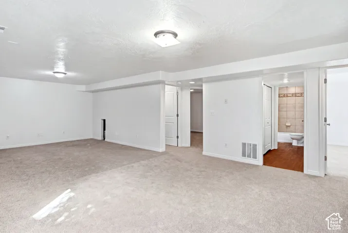Carpeted living space with flush-mount lighting, white trim, and direct access to a bathroom featuring a tiled shower and wood-finish flooring