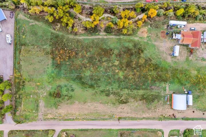 Expansive green space featuring natural vegetation and surrounding mature trees