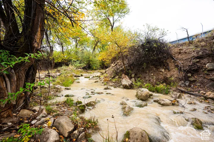 Natural stream featuring a rocky bed and surrounding foliage
