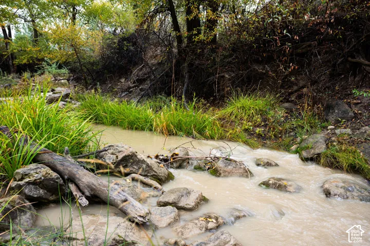 Natural stream featuring rocky banks and surrounding lush vegetation