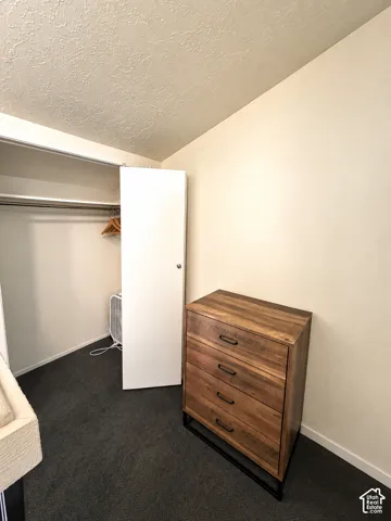 Built-in closet with hanging rod, white walls, and dark carpeting