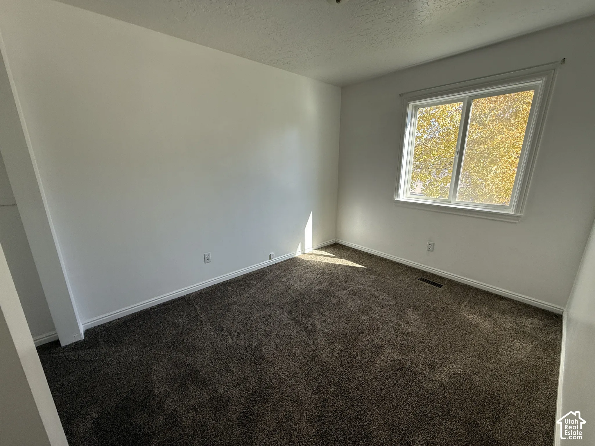 Carpeted room featuring a double-paned window with white trim, white walls, and a ceiling with a textured finish