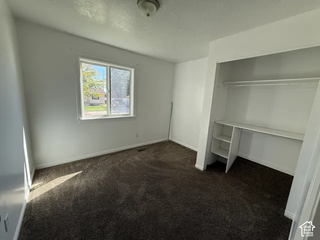 Plush carpeting, bright white walls, and a window with white trim