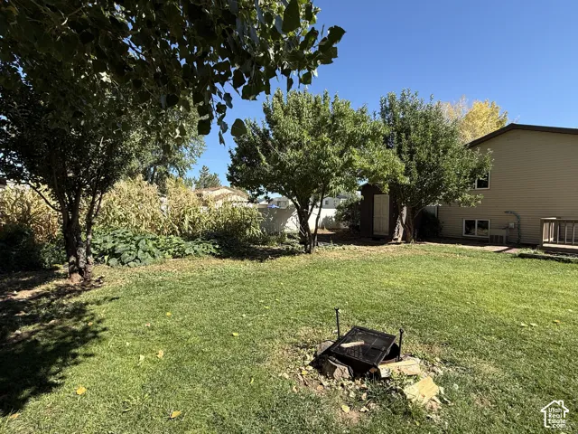 Expansive grassy yard featuring mature trees, a storage shed, and a privacy fence