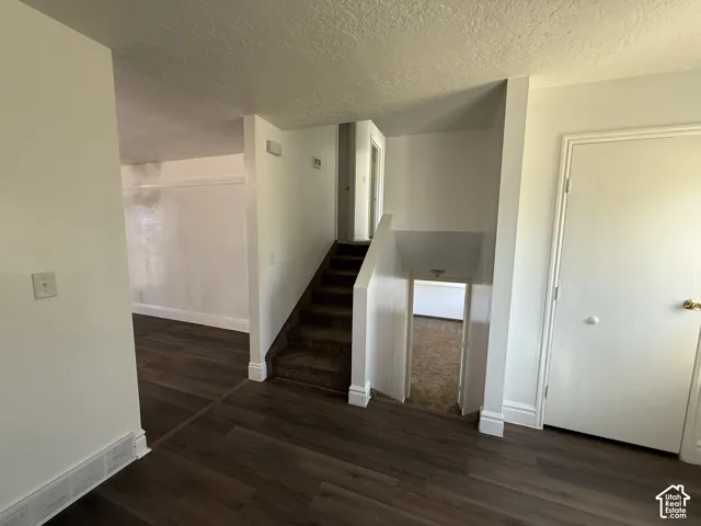 Wood-finish flooring throughout the main level
