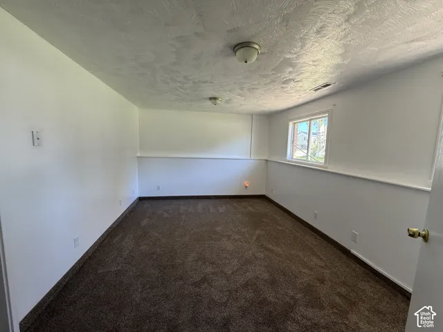 White painted walls, textured ceiling, brown carpet flooring, and a single window