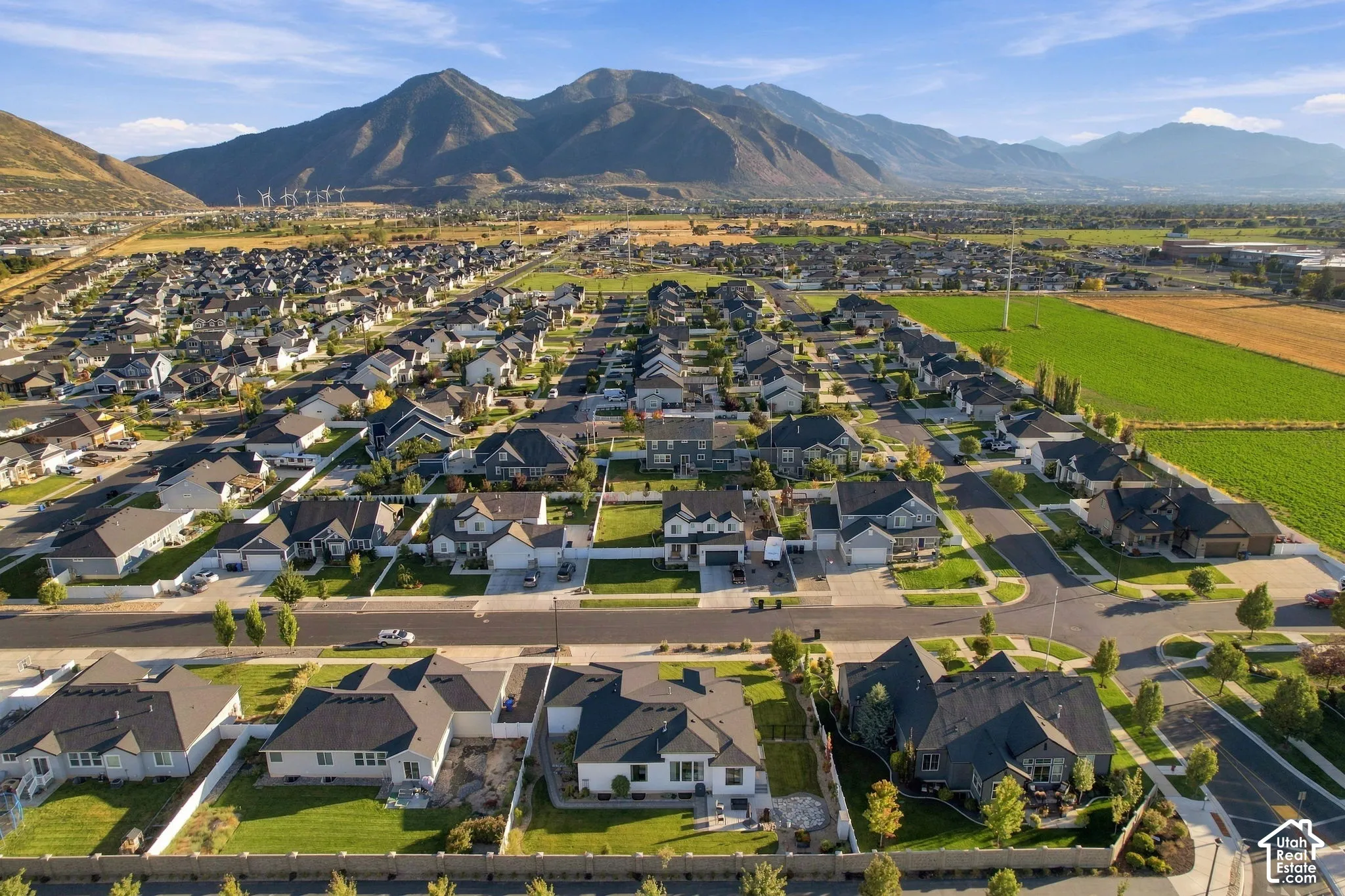 Residential community with uniform housing styles, established streets, and green spaces