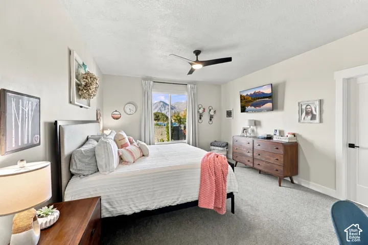 Window with mountain scenery, ceiling fan, carpeting, and a flat-panel door