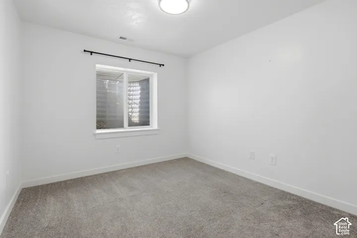 Neutral gray carpeting