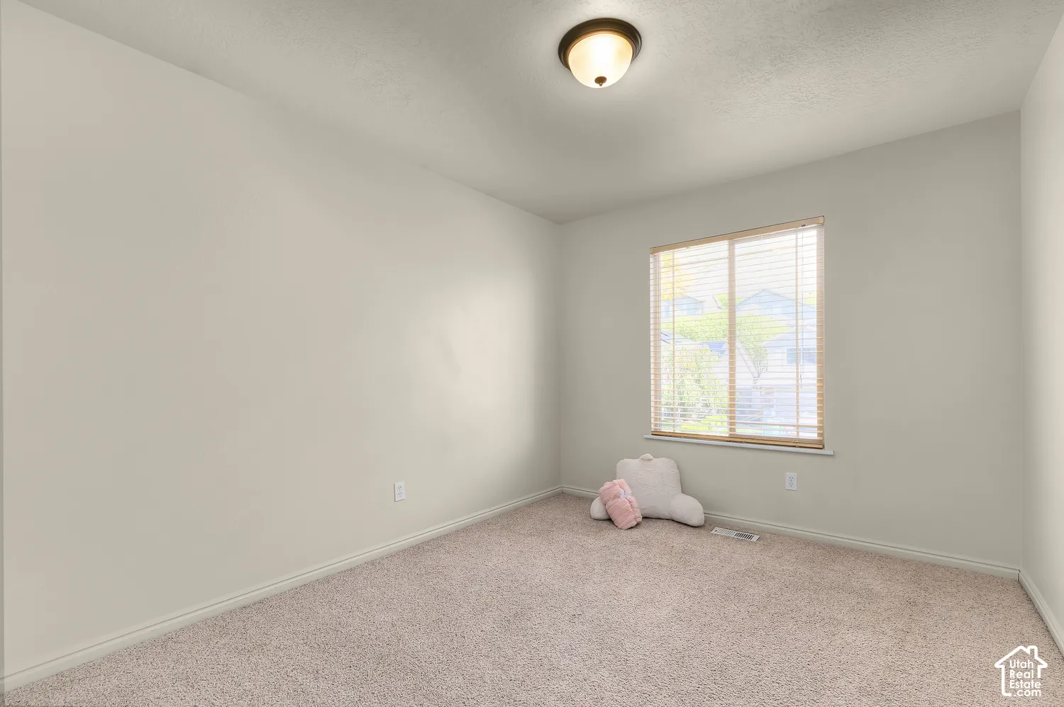 Neutral wall paint, ceiling-mounted light fixture, window with horizontal blinds, and carpet flooring