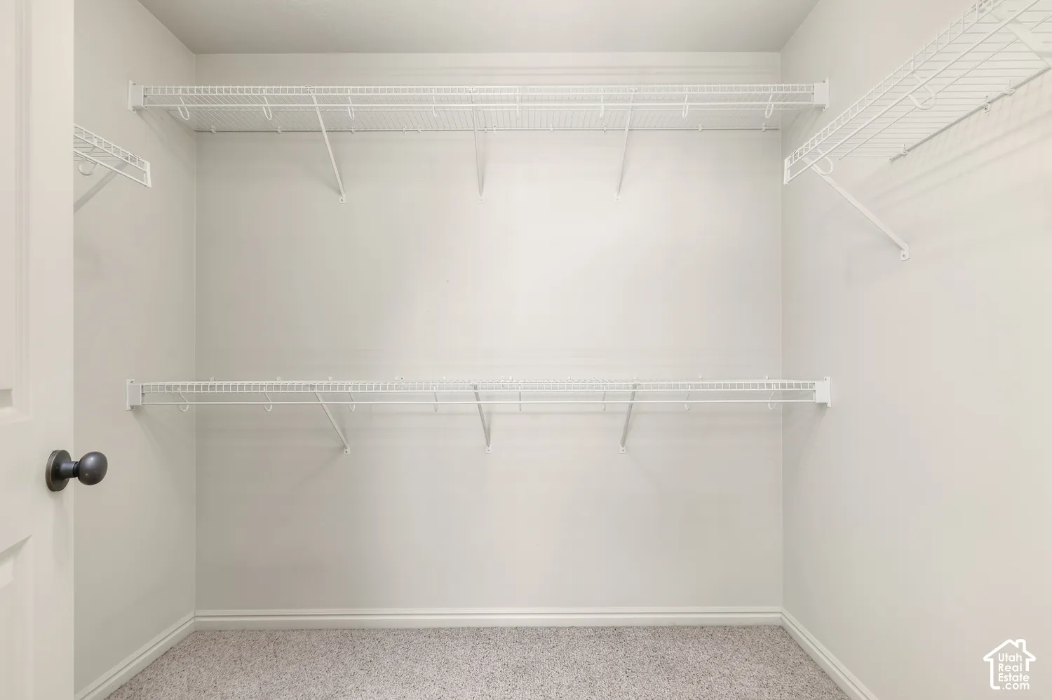 Primary-Walk-in closet featuring wire shelving, white wall paint, and light-colored carpeting
