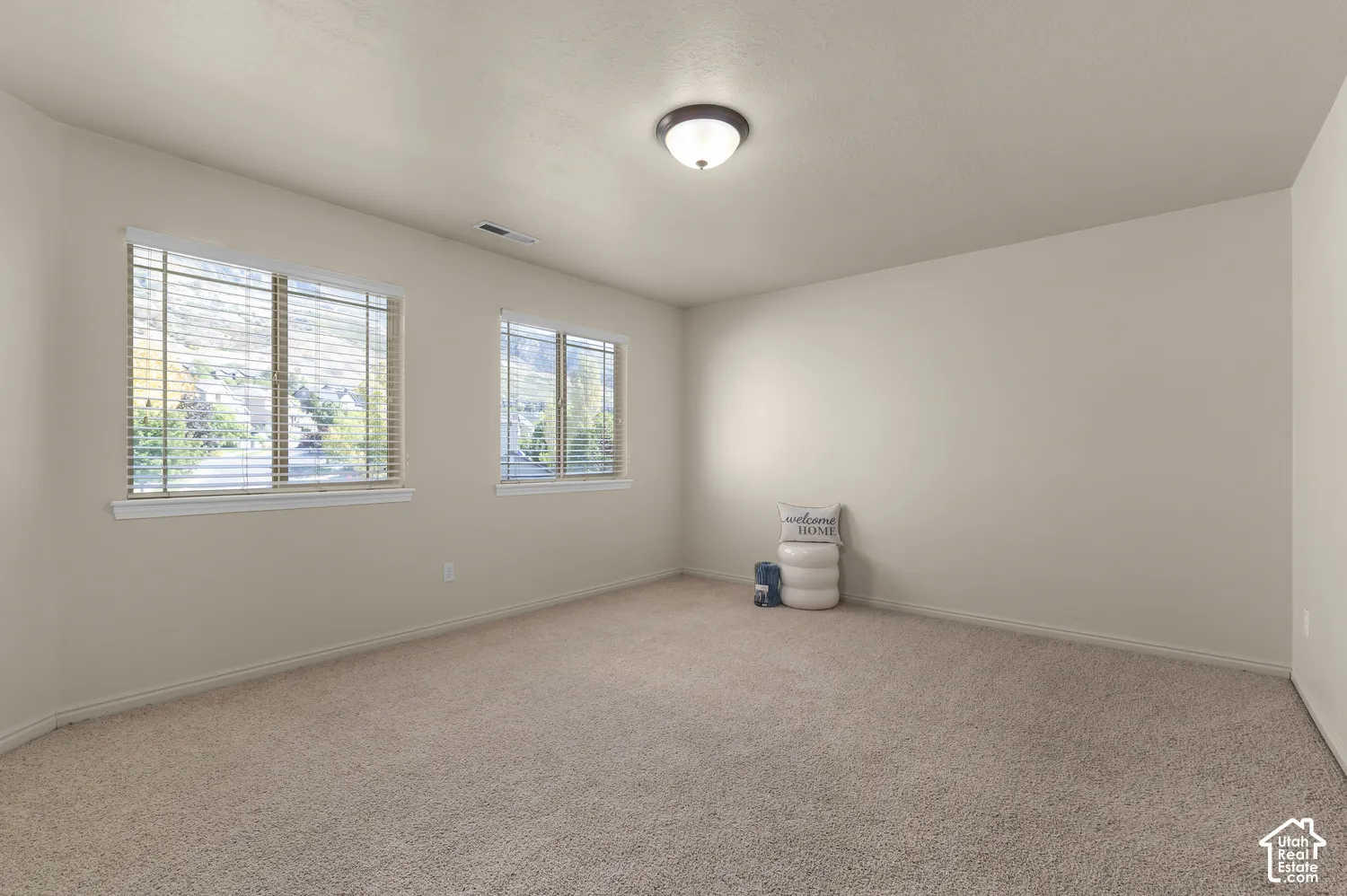 Primary Bedroom-Wall-to-wall carpeting, two windows with blinds, and a ceiling-mounted light fixture