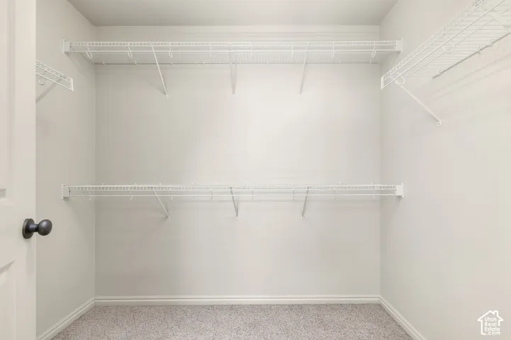 Primary-Walk-in closet featuring wire shelving, white wall paint, and light-colored carpeting