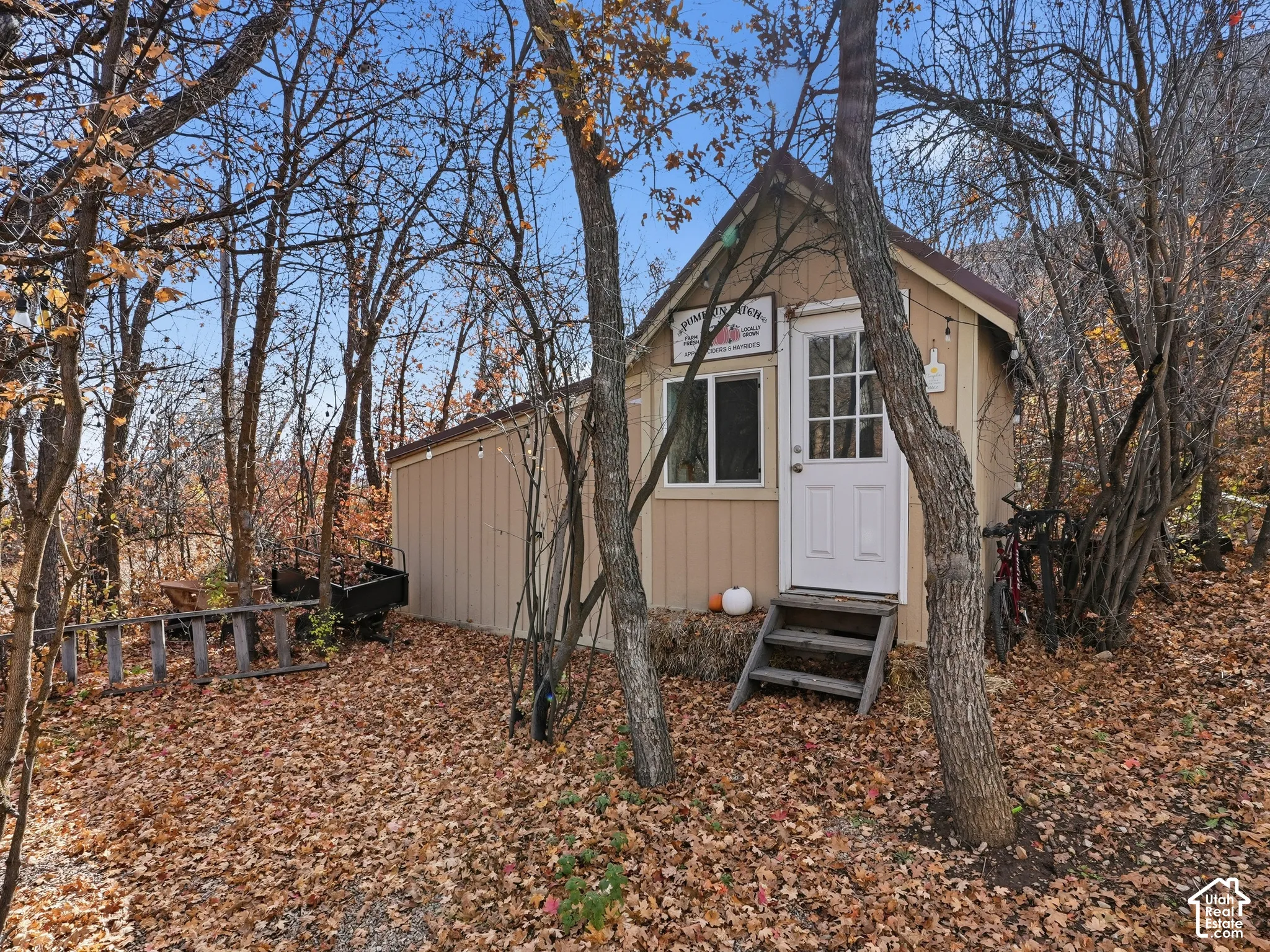 Outbuilding featuring wood-style siding, a shed roof, a single-entry door with glass panels, and wooden step access