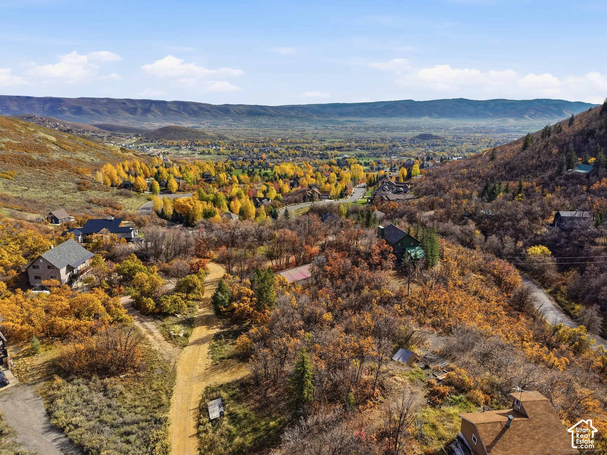 Aerial perspective of a hillside landscape featuring mature trees, diverse vegetation, and expansive mountain range scenery