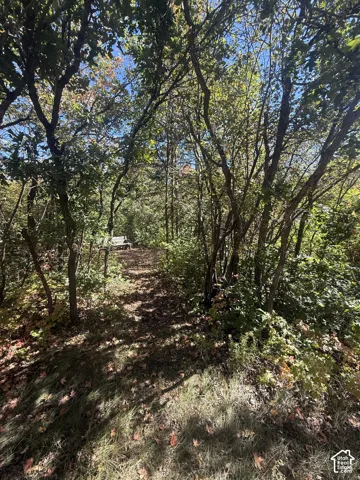 Wooded lot with mature trees and natural ground cover