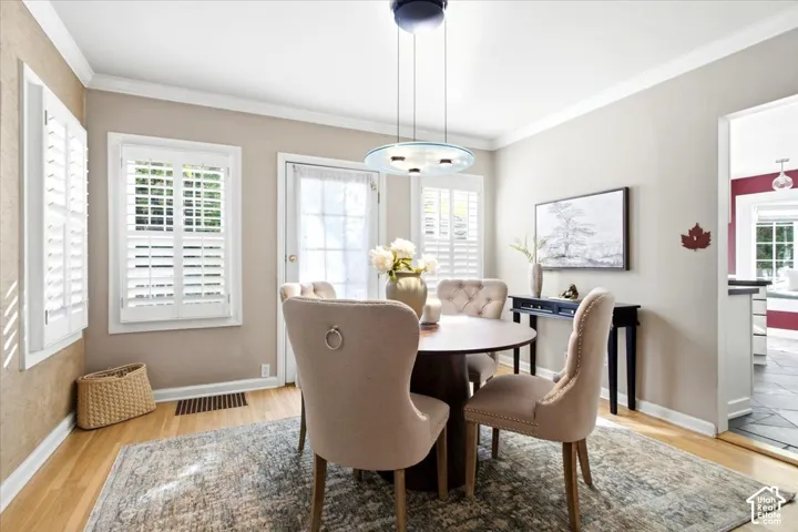 Hardwood-finish flooring, crown molding, white plantation shutters, and a modern circular pendant light fixture