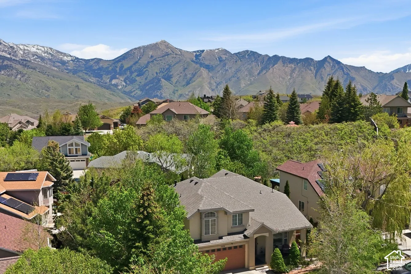 Expansive mountainous backdrop frames a residential neighborhood with diverse architectural styles and mature landscaping