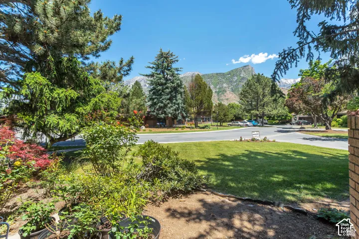 Expansive front yard featuring a manicured lawn, established landscaping, mature trees, and mountain scenery