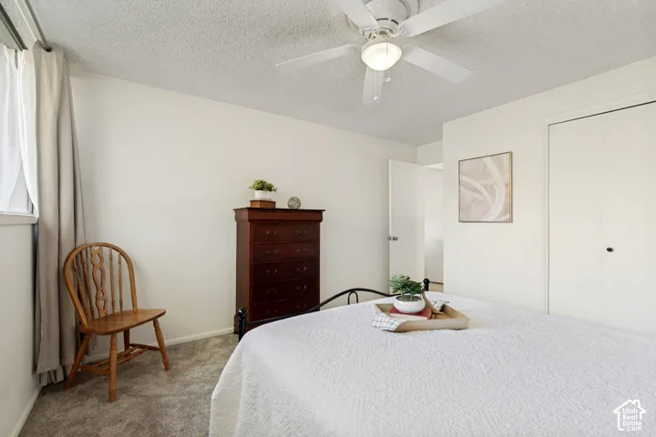 White ceiling fan with integrated lighting, window with drapes, wall-to-wall carpeting, and bi-fold closet doors