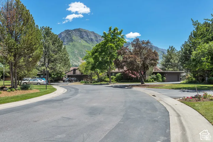 Curved asphalt roadway with concrete curbing, surrounded by mature trees and landscaping