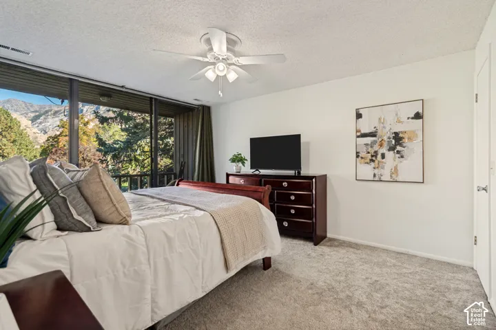 Full-height glass doors, mountain scenery, overhead ceiling fan, plush carpeting, and warm-toned wood cabinetry
