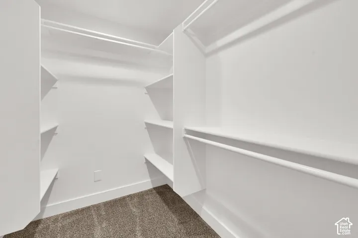 Walk-in closet featuring white composite shelving, overhead garment rods, and wall-to-wall carpeting
