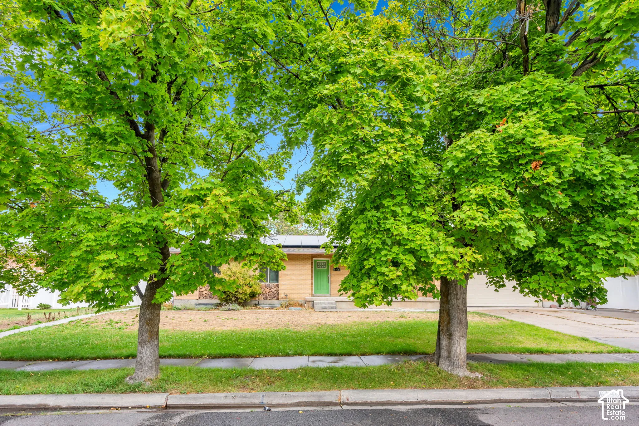 Single-story residence featuring a brick and siding exterior, front yard with green grass, mature trees, and a concrete driveway