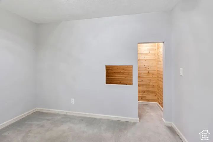 Recessed wall niche, wood-paneled walls, and soft gray carpeting