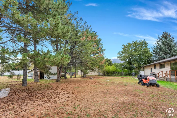 Expansive yard featuring mature trees, a detached storage shed, and a property-line fence