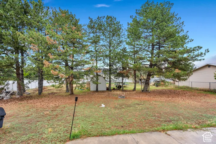 Expansive backyard featuring mature pine trees, a fenced perimeter, and a detached storage shed