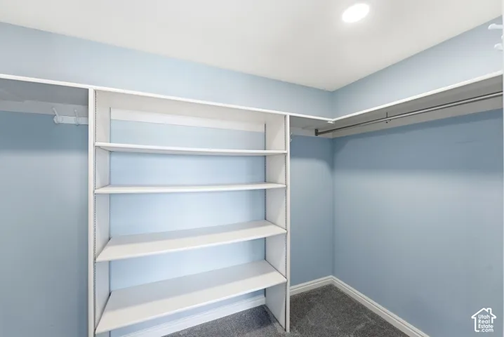 Built-in shelving, hanging rods, recessed ceiling lighting, and carpet flooring