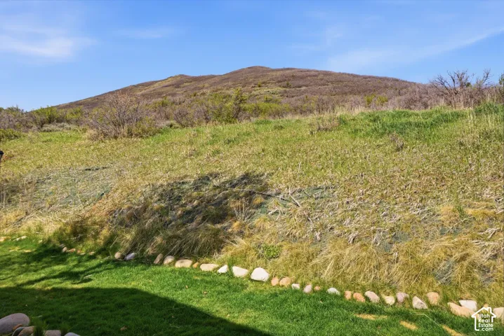 Expansive grassy terrain with natural vegetation