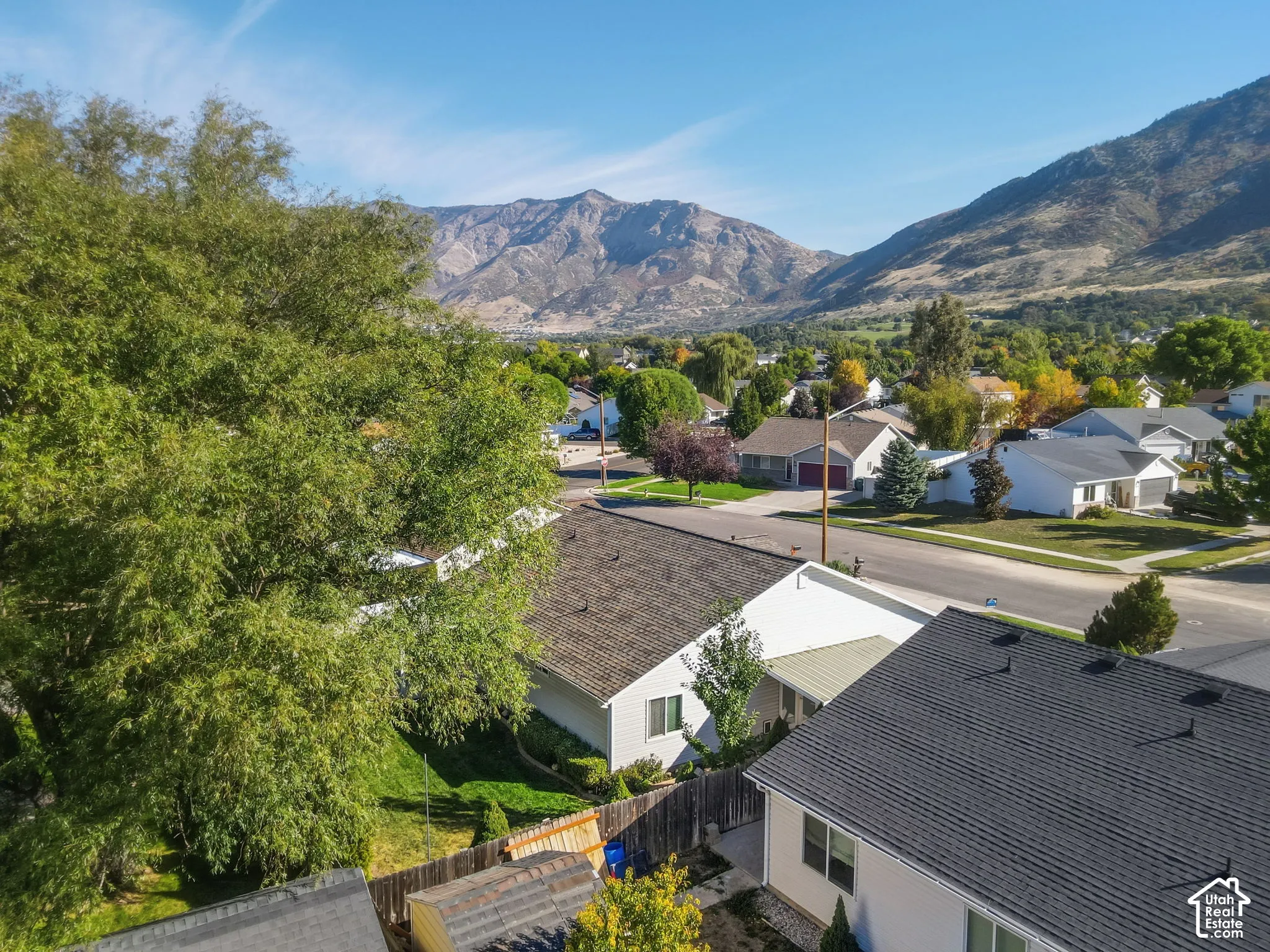 Mature trees, residential street, mountain backdrop, clear sky