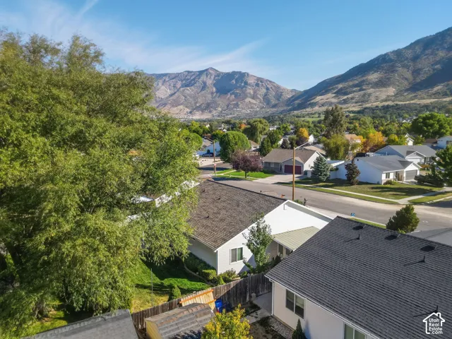 Mature trees, residential street, mountain backdrop, clear sky