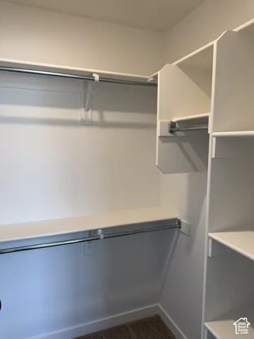 Walk-in closet featuring built-in shelving, white walls, and carpet flooring