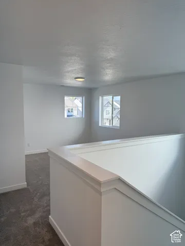 Carpeted loft area with two windows, a flush-mount ceiling light, and a painted stair railing