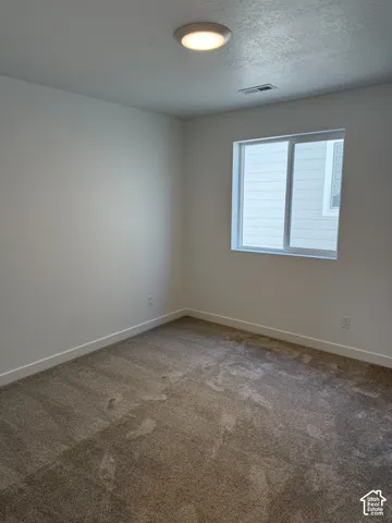 Neutral-toned wall-to-wall carpeting, white painted walls, and a ceiling-mounted light fixture